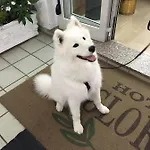 Gloria